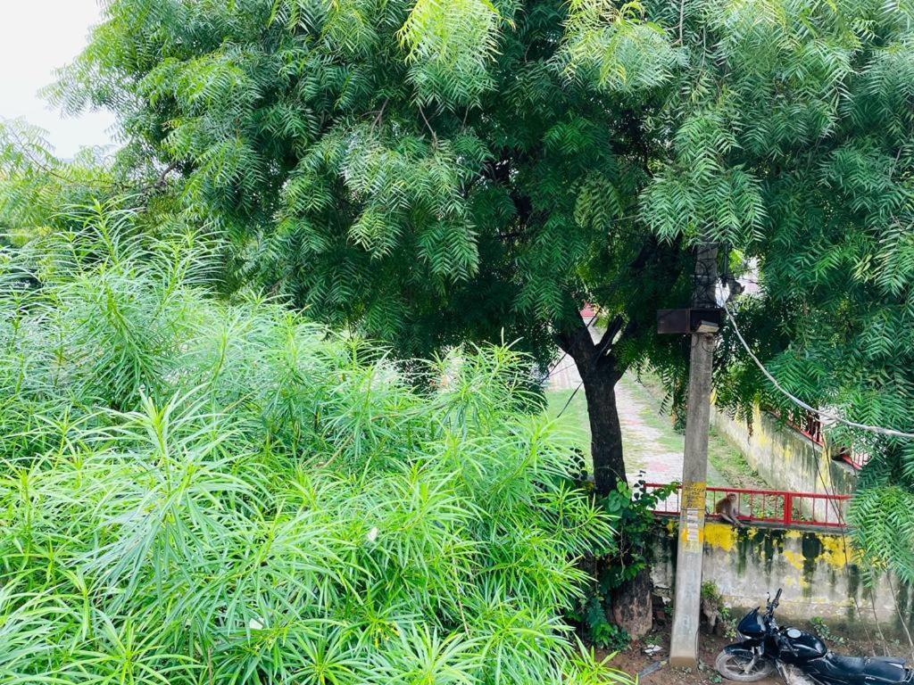 Shree Balaji Homestay Ayodhya Exterior foto